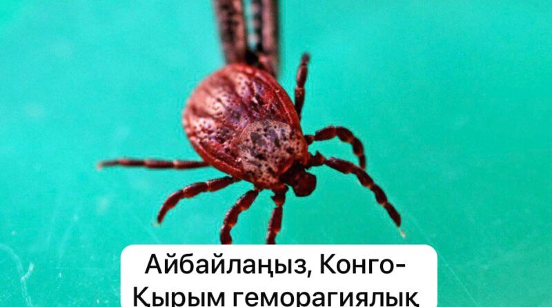 Конго-Қырым геморрагиялық қызбасы