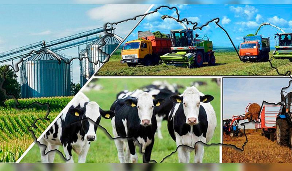 АӨК цифрландыру онан ары дамиды