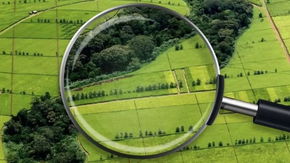 Игерілмеген жер мемлекет меншігіне қайтарылуы тиіс!