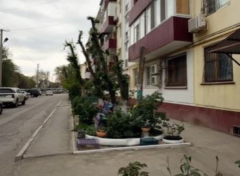 Жаңа ережелер   енгізілуде