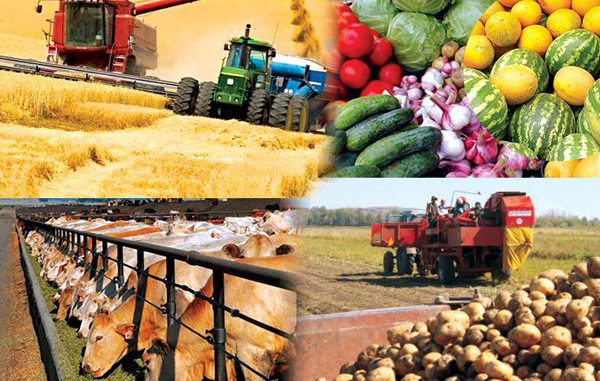 Агроөнеркәсіптің аршынды   қадамы
