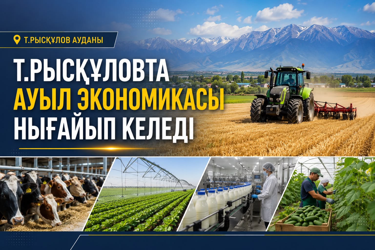Ауыл экономикасы нығайып келеді