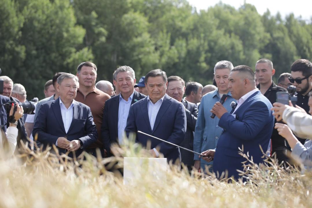 Егін орағы ерте басталды