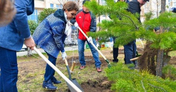 Сенаторлар сенбілікке қатысты