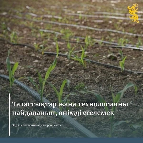 Таласта жаңа технологияны пайдаланып, өнімді еселемек