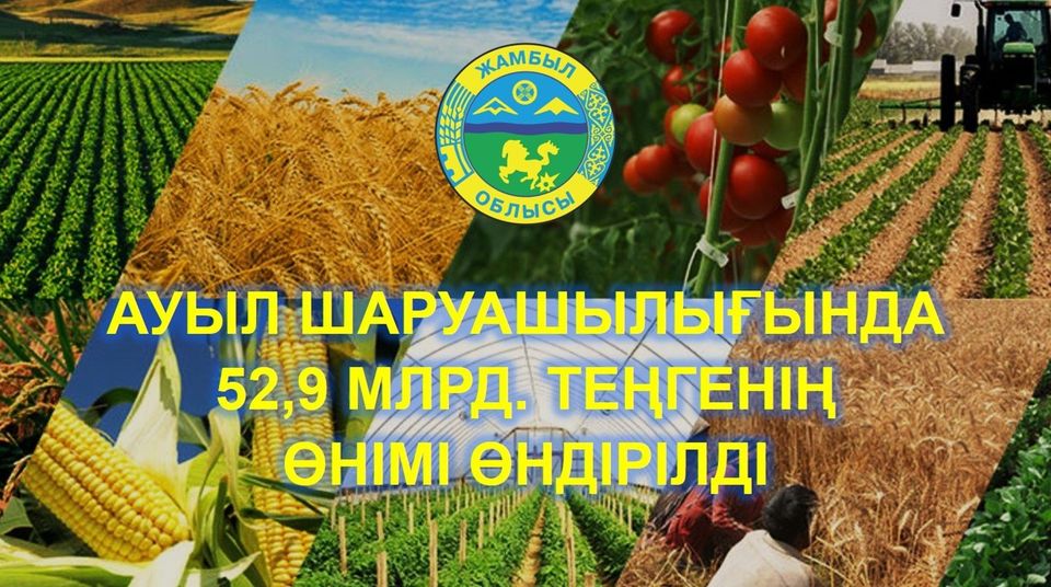 АУЫЛ ШАРУАШЫЛЫҒЫНДА 52,9 МЛРД. ТЕҢГЕНІҢ ӨНІМІ ӨНДІРІЛДІ