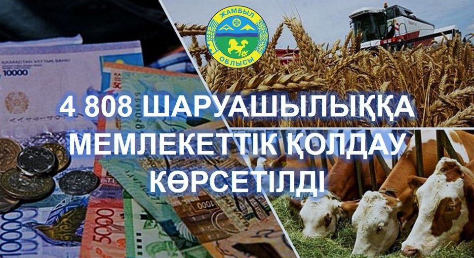 4 808 ШАРУАШЫЛЫҚҚА МЕМЛЕКЕТТІК ҚОЛДАУ КӨРСЕТІЛДІ