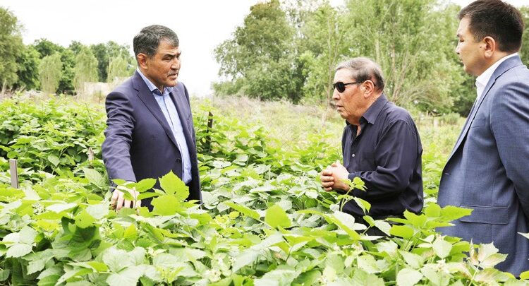 Әр үйде кемінде бір адамның тұрақты жұмысы болуы тиіс