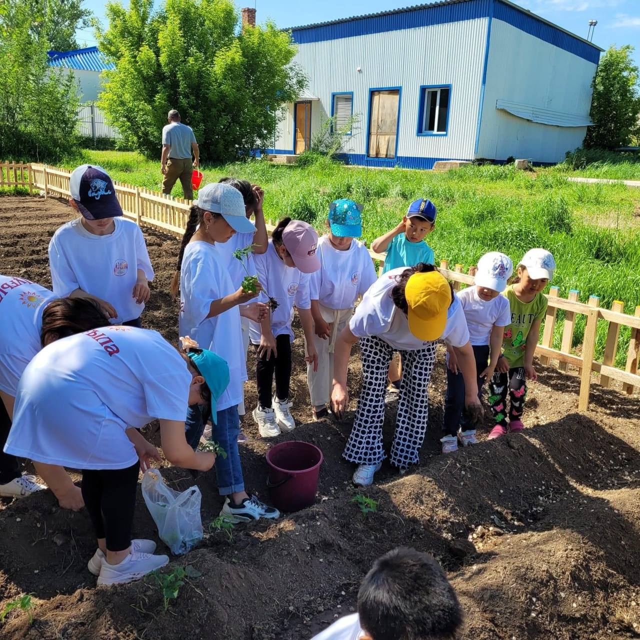 Балалар еңбекке тәрбиеленуде