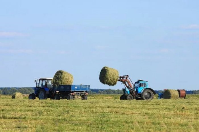 ШАРУАЛАР ШАБЫНДЫҚҚА ШАЛҒЫ САЛДЫ