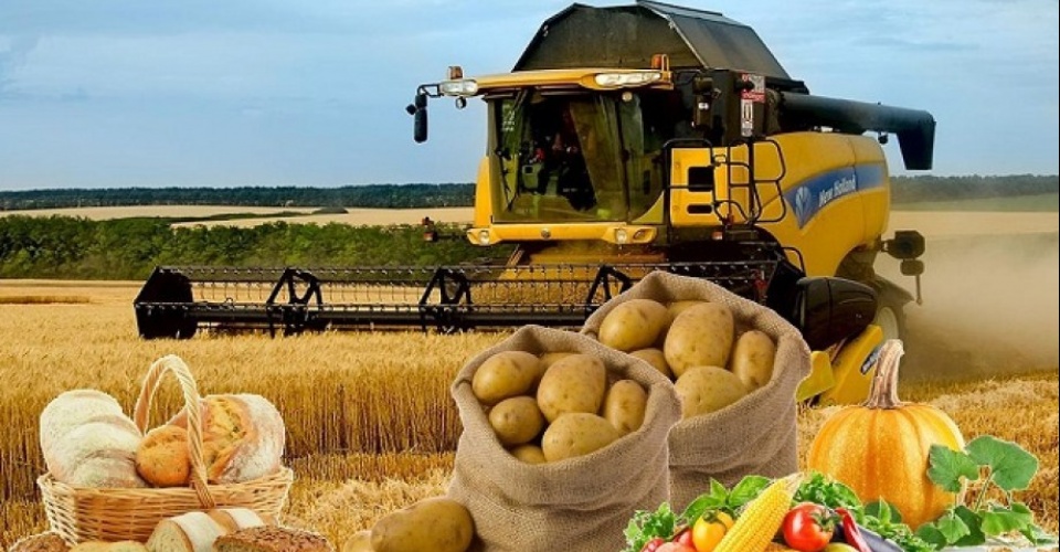 Сайрам ауданында  ауыл шаруашылығы  өнімдерінің көлемі  100 млрд  теңгеге жетпек