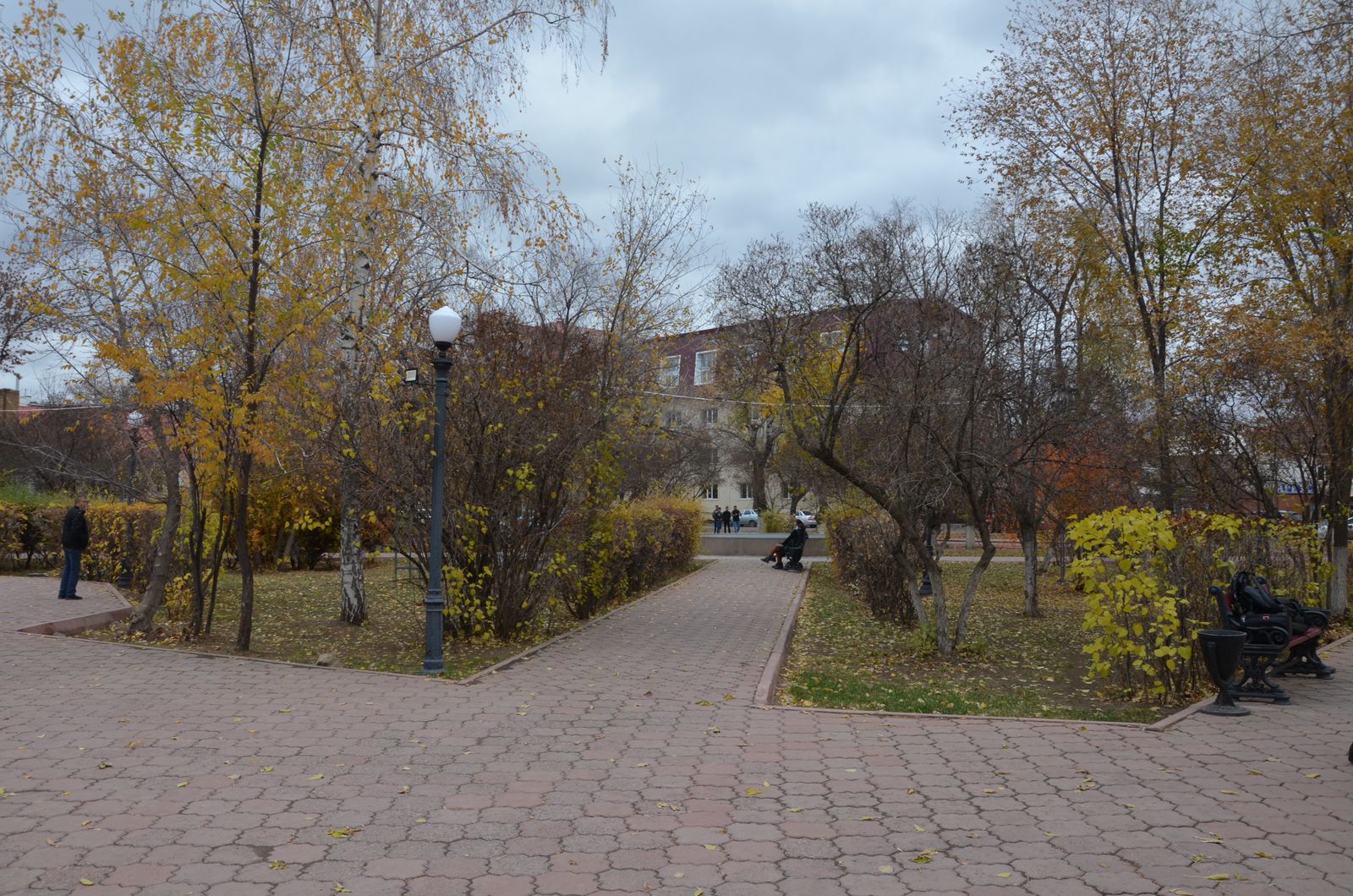 Дирекция өз  жұмысына кіріседі