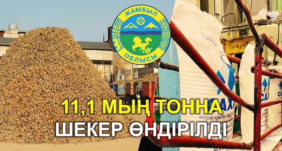 11,1 МЫҢ ТОННА ШЕКЕР ӨНДІРІЛДІ