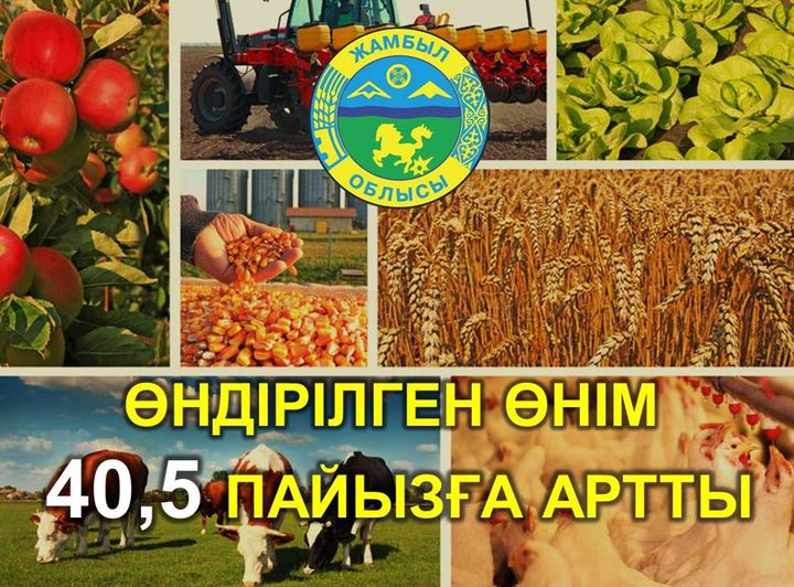 ӨНДІРІЛГЕН ӨНІМ 40,5 ПАЙЫЗҒА АРТТЫ