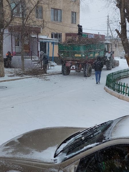 ЗАРДАП ШЕККЕН НЫСАНДАР АНЫҚТАЛДЫ 