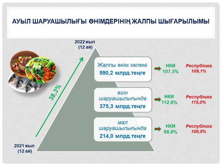 ӨНДІРІЛГЕН ӨНІМ 38,3% АРТТЫ