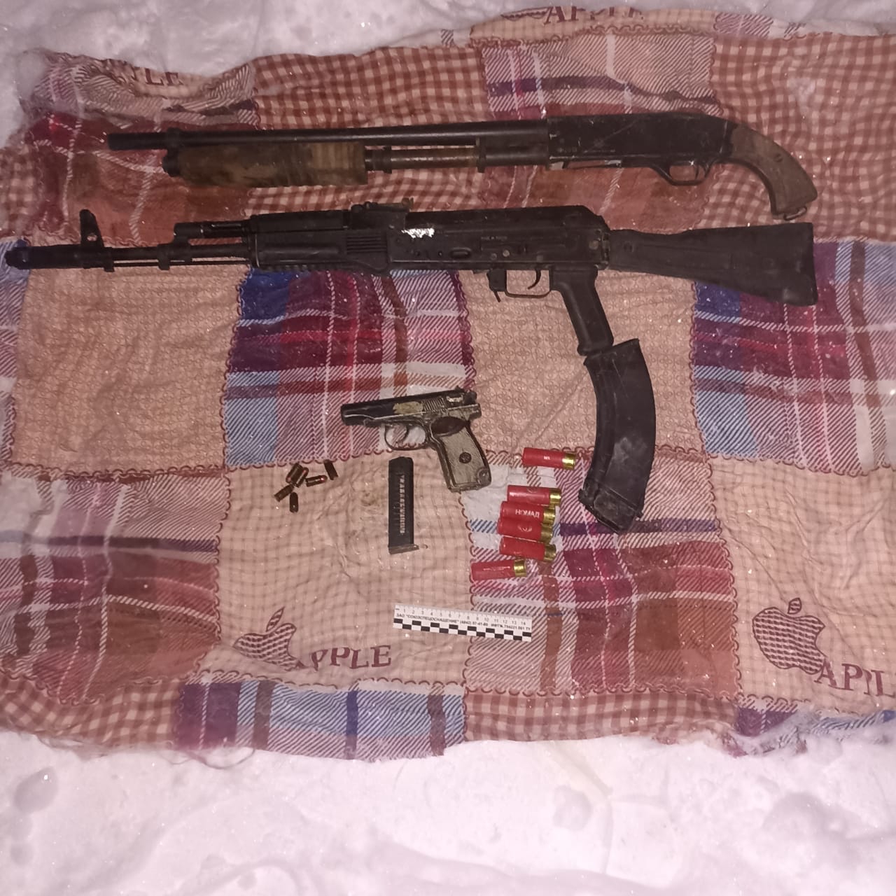 Жамбыл полицейлері 18 қару мен 900-ден астам оқ-дәрі тәркіледі