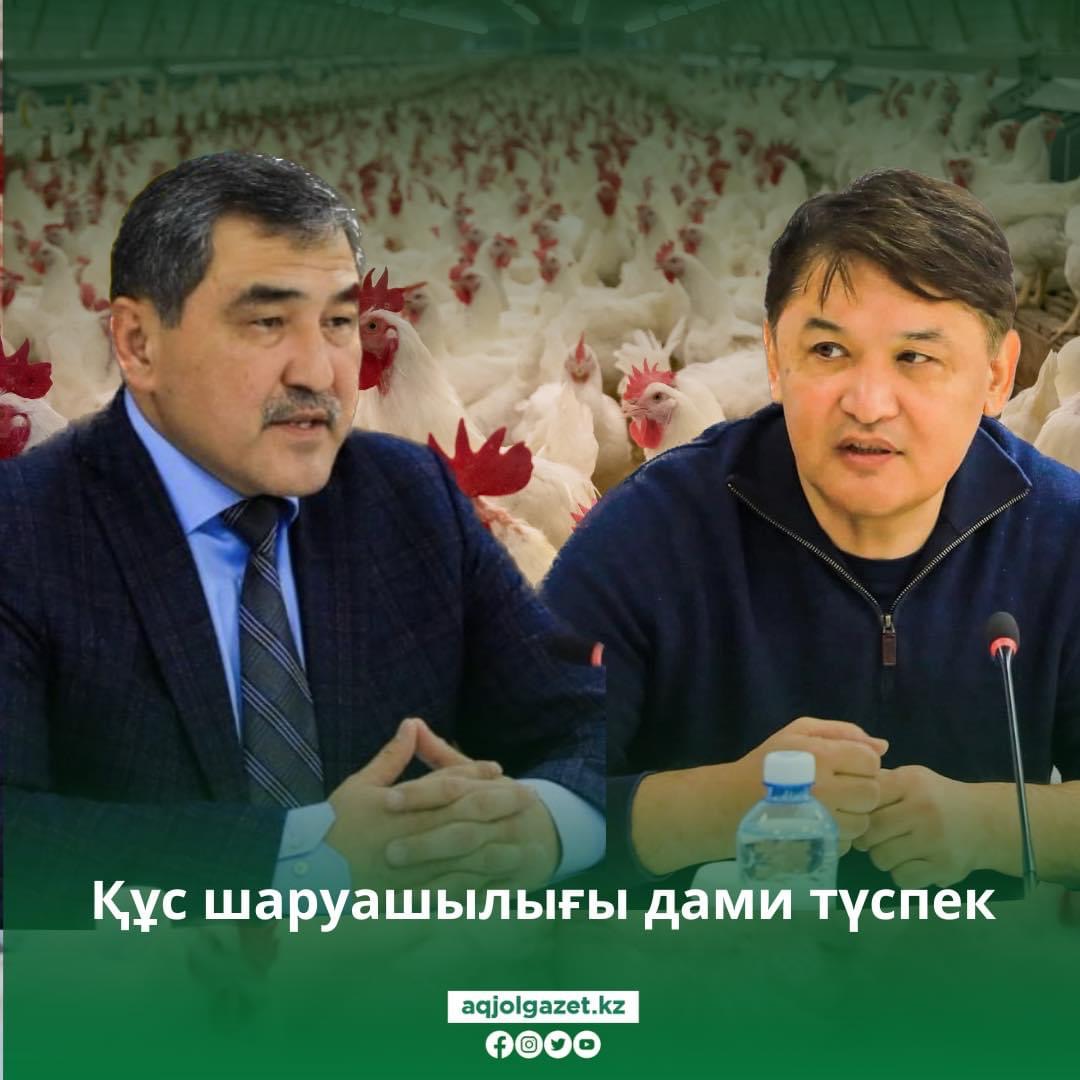 Құс шаруашылығы дами түспек