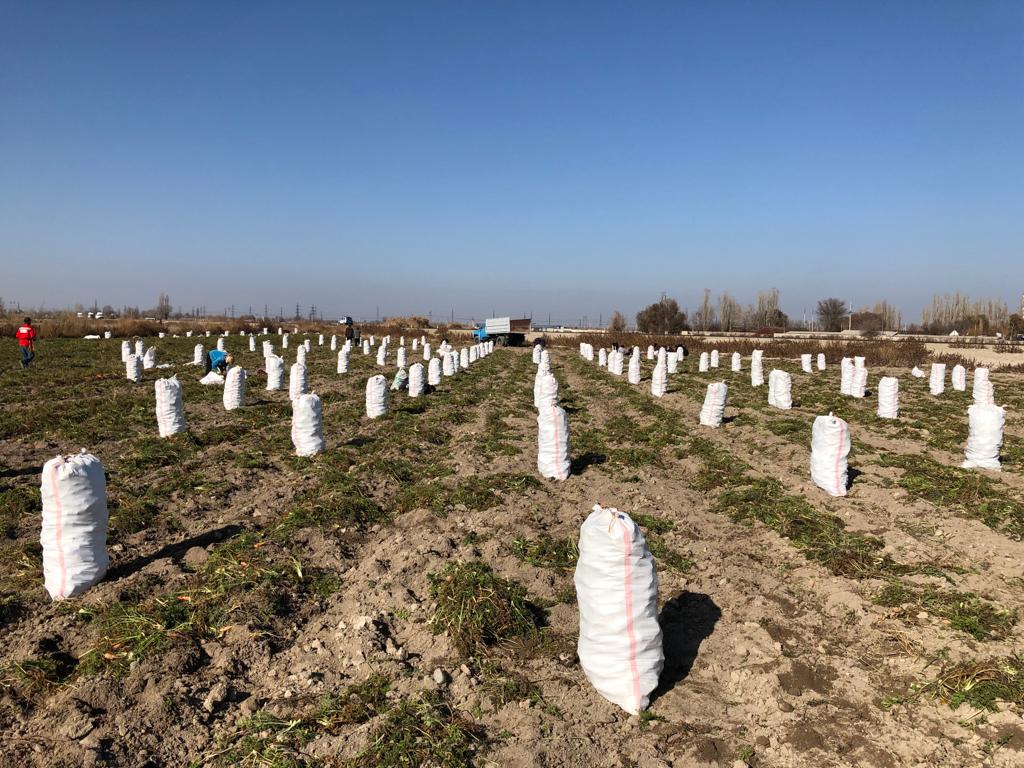 Аудан әкімі тиімді жобаны түсіндіруге  кірісті