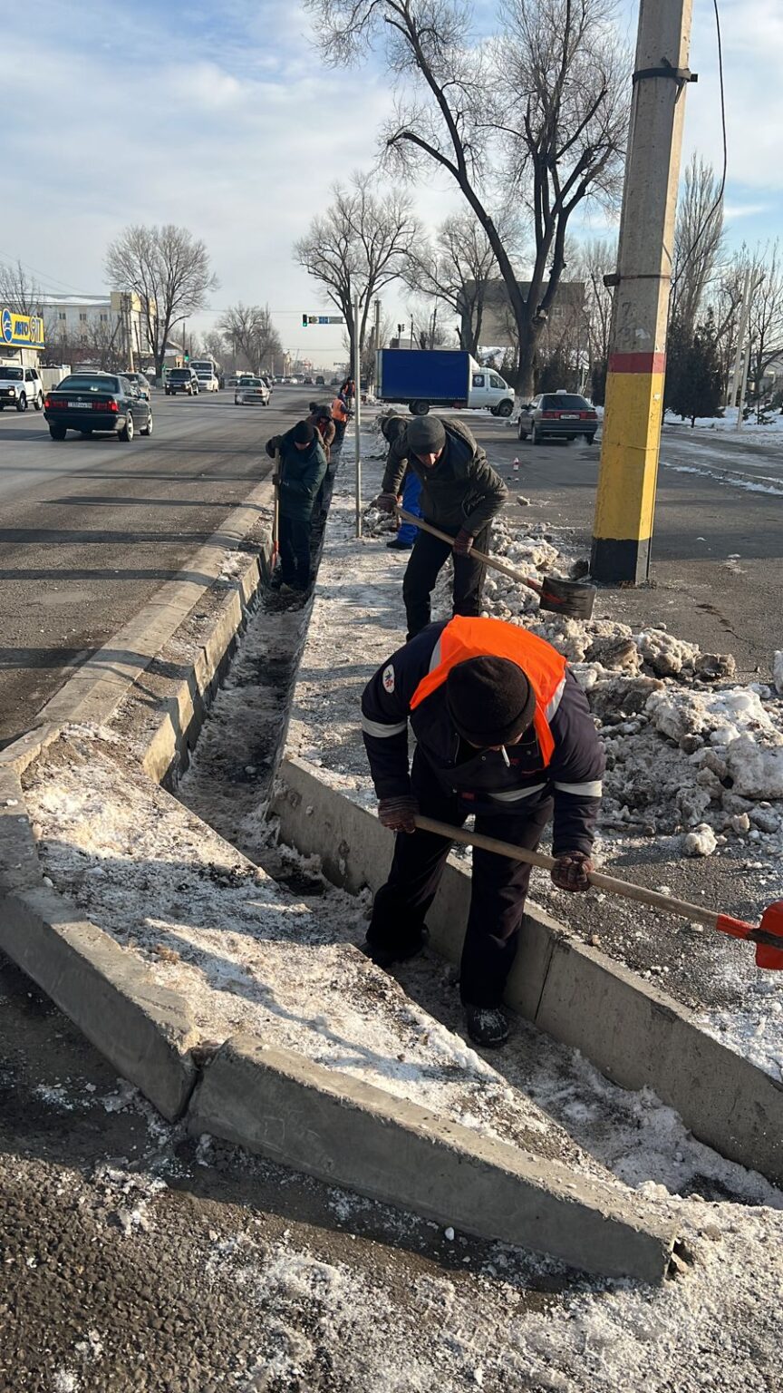 Тараздықтар жалпықалалық сенбілікке шықты