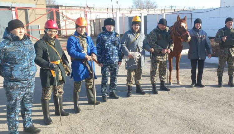 Мекемеде жылқының көмегімен тексеру іс-шаралары қолға алынды