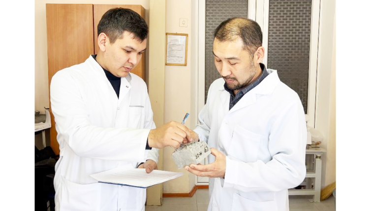 Зілзала зардабын азайтатын жоба