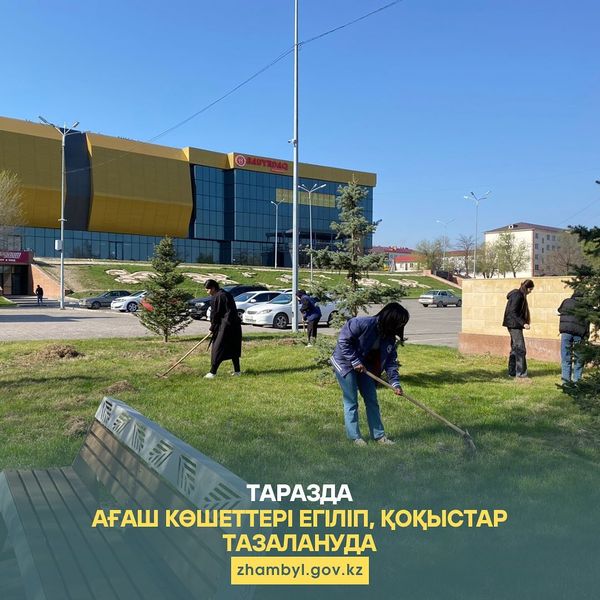 Таразда ағаш көшеттері егіліп, қоқыстар тазалануда