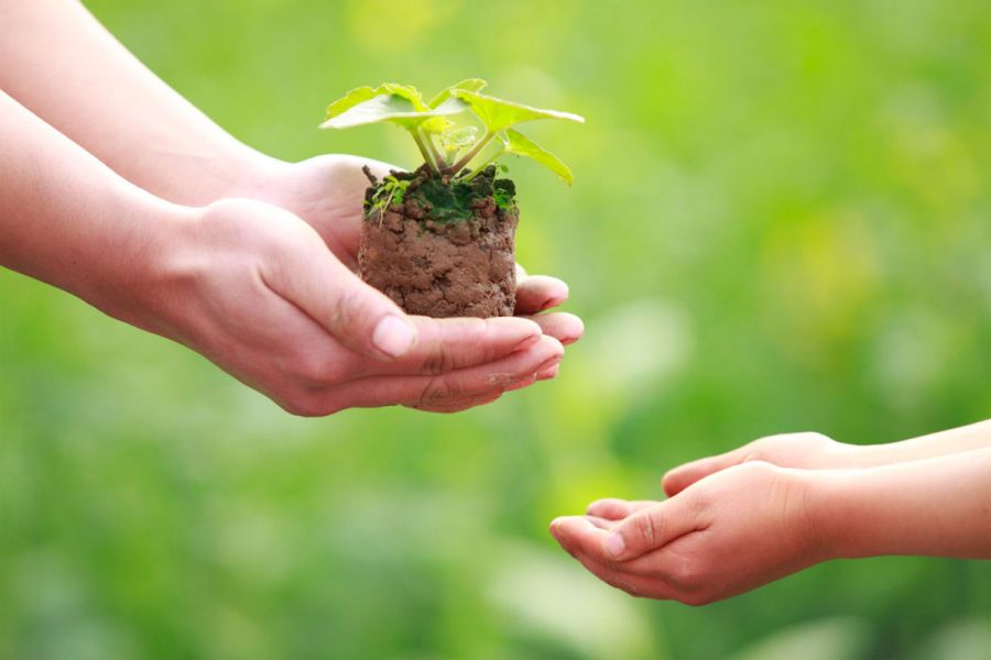  Әлемді сұлулық емес, мейірімділік қана   құтқарады