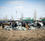 Батыс Қазақстан:  Өңір жұрты әлі де үрей үстінде