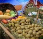 Агроөнеркәсіптік кешен –  ел дамуының локомативі