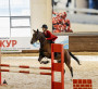 Конституцияның 30 жылдығына  арналған чемпионат
