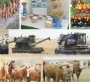 Мойынқұм ауданы. Әрбір дерек – болашақтағы  берекенің кепілі