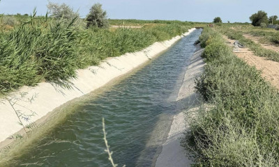 Жетісу облысында 25 мың гектар егістік алқапты сумен қамтамасыз ету үшін каналдарды реконструкциялау жұмыстары жүргізіліп жатыр