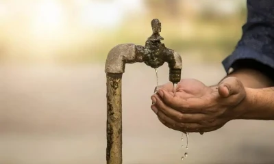 Жазылған жайдың жаңғырығы.  КӨКЖИДЕ ТАҒДЫРЫ ҚЫЛ ҮСТІНДЕ МЕ?