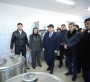 Облыс әкімі түйе сүтін автоматтандырылған әдіспен сауатын цехтың жұмысымен танысты