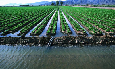 Сырдария өзені бассейнінде ауыл шаруашылығы дақылдарын суару режимдерін түзету мақсатында ауқымды зерттеу жүргізіліп жатыр