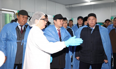 Жаңаөзен қаласында құрғақ түйе сүтін өндіретін цех ашылды