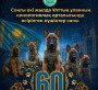 ӘСКЕРИ ИТТЕРДІҢ ЖАУЫНГЕРЛІК МИССИЯСЫ