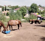 Нұрлан Тұрлығазыұлы, кәсіпкер, «Саумал Тау» шипажайының иесі: Тау бөктеріндегі «Саумал тауға» КЕЛІП, Ем алыңыз! 