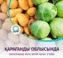 Қарағанды облысында тұрақтандыру қоры қалай жұмыс істейді