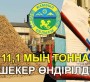 11,1 МЫҢ ТОННА ШЕКЕР ӨНДІРІЛДІ