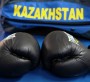 Бокс: Жастар Азия чемпионатына қатысады 