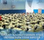 IQanat – Қазақстанның ауыл оқушылары үшін бірегей мүмкіндік